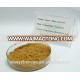 Factory Supply Good Quality 10:1 Black Garlic Plant Extract Powder