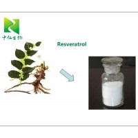 Factory supply Resveratrol 98% CAS 501-36-0