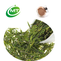 Factory supply best price low PAHs White Tea Extract 40%Polyphenols