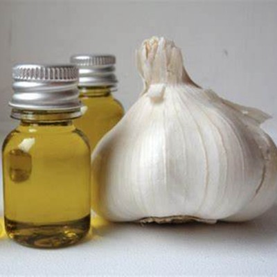 China manufacturer garlic oil extraction machine with best quality