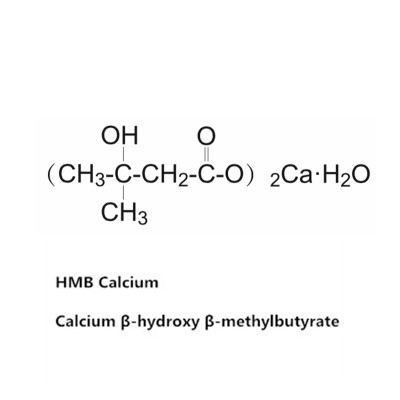 Factory Directly Supply hmb hydroxy methylbutyrate with CAS 135236-72-5