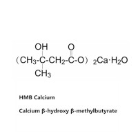 Factory Directly Supply hmb hydroxy methylbutyrate with CAS 135236-72-5