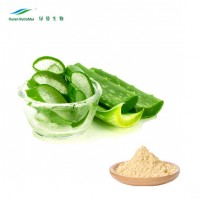 Factory supply Aloe vera Extract 10%~40% Barbaloin CAS:1415-73-2;5133-19-7