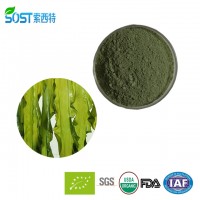 Factory supply bulk price organic kelp powder