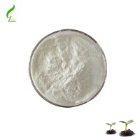 Calcium pantothenate/Vitamin B5 with best price