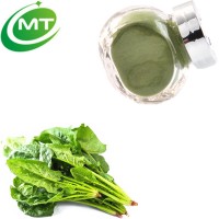 Food grade beauty 12:1 spinach leaf extract